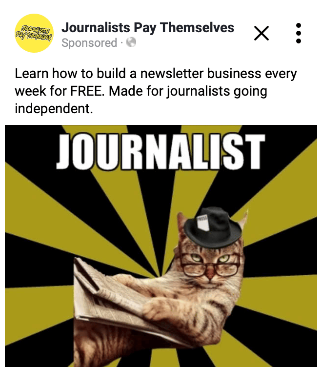 cat meme